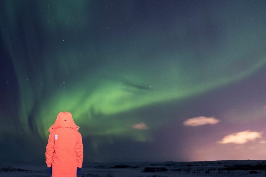 Reykjavik: Northern Lights Group Tour with Photos - Who this tour fits best in Iceland’s winter