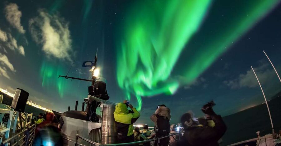 Reykjavik: Northern Lights Guided Boat Tour - Key highlights at a glance