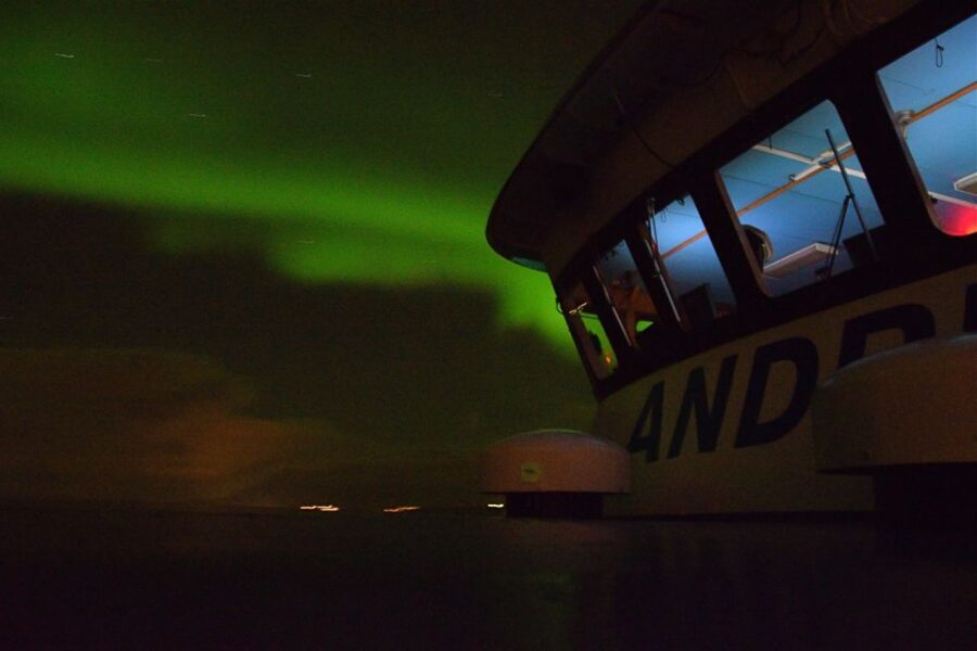 Reykjavik: Northern Lights Guided Boat Tour - The bottom line: should you book the Reykjavik northern lights boat tour?