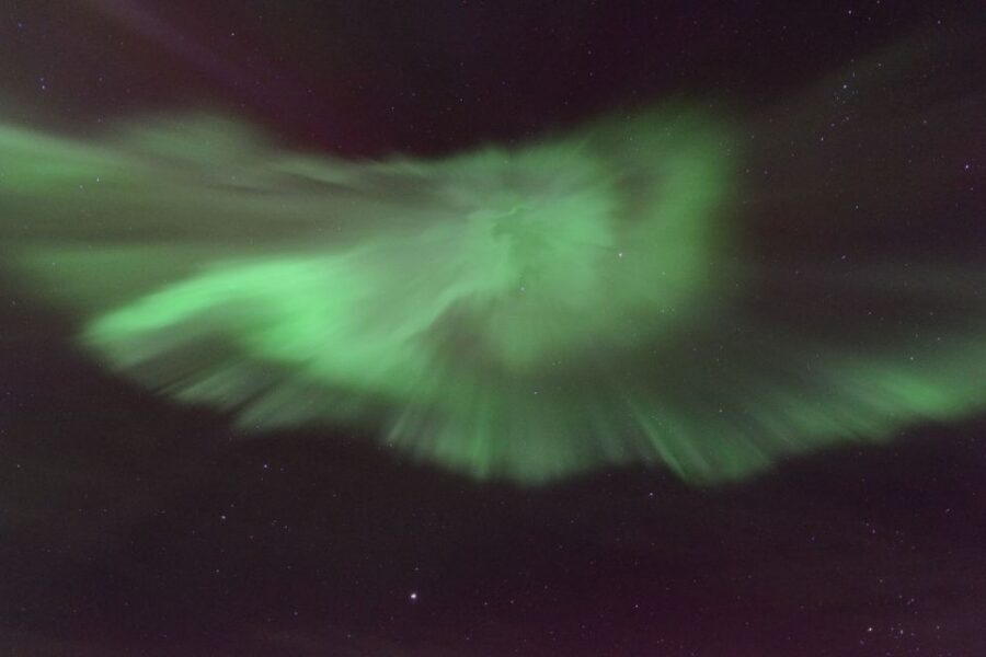 Reykjavik: Northern Lights Motor Yacht Cruise - Price and Value: Is $99 a Fair Deal?