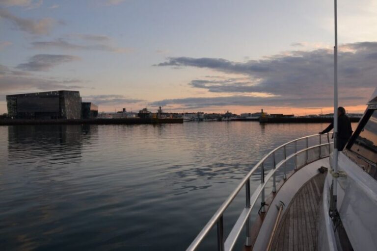 Reykjavik: Northern Lights Motor Yacht Cruise