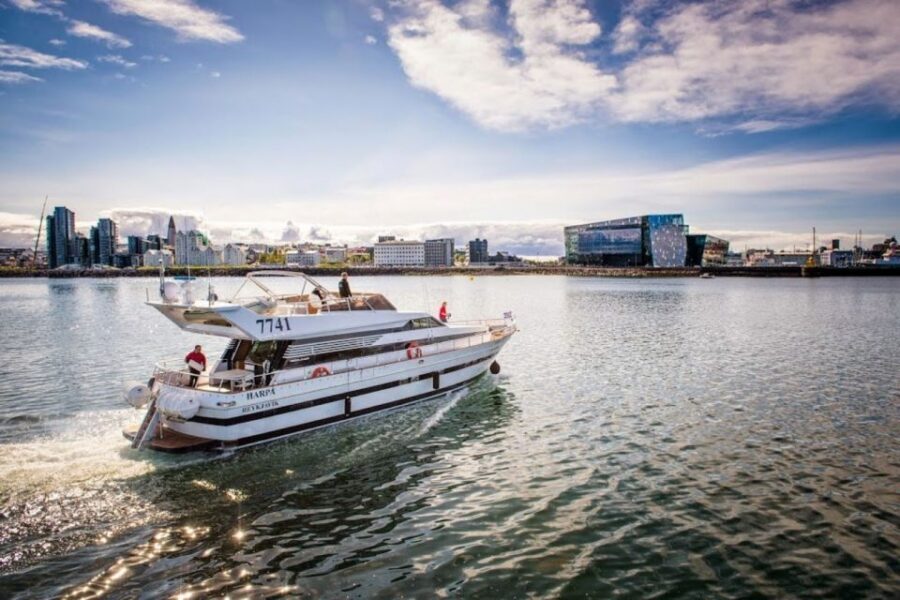 Reykjavik: Northern Lights Motor Yacht Cruise - Who This Cruise Suits Best (and Who Might Prefer Something Else)