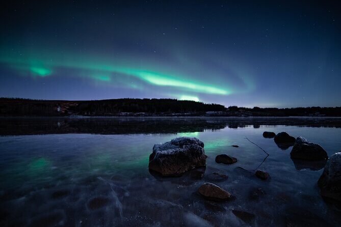 Reykjavik Northern Lights Tour with Professional Photographer - Comfort and small extras that make the cold manageable
