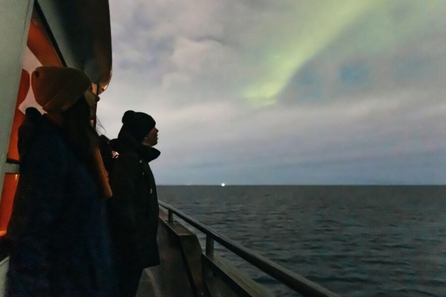 Reykjavik: Northern Lights Yacht Tour - Northern lights reality check, plus the photo and viewing tactics that help