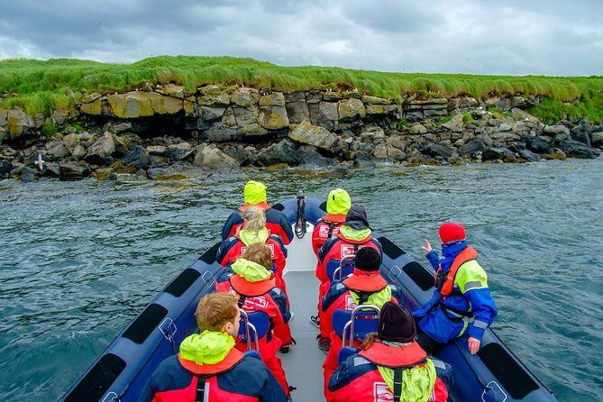 Reykjavik Premium Puffin tour | Close Up and Personal - Who this tour is best for