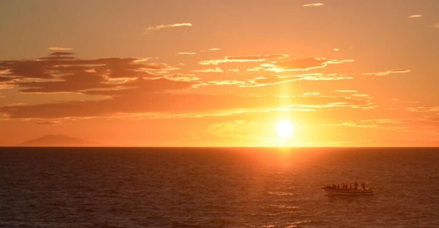 Reykjavik: Premium Whale and Puffin Watching Evening Tour - Zoom past the wind-beaten islands for puffins in their season