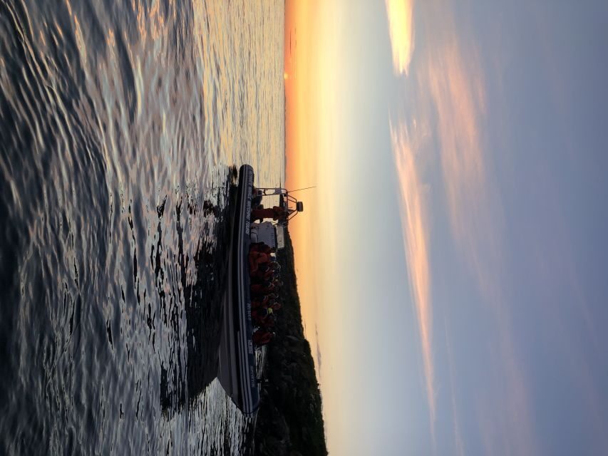 Reykjavik: Premium Whale and Puffin Watching Evening Tour - The return ride: Sun Voyager and Harpa views on your way back