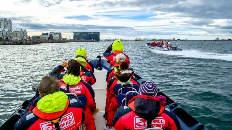 Reykjavik: Premium Whale Watching with Flexible Ticket - Should You Book This Premium Whale Safari? Use This Quick Checklist