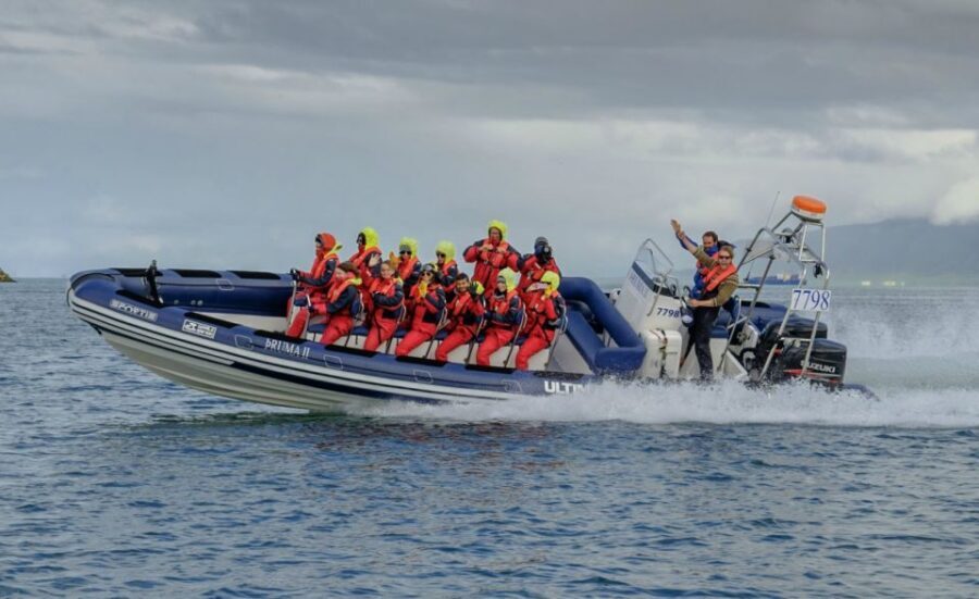 Reykjavik: Premium Whale Watching with Flexible Ticket - Whales, Dolphins, and Faxaflói Bay: What You Can Realistically Hope For
