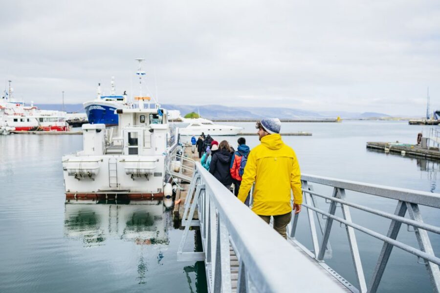 Reykjavik: Puffin Watching Boat Tour - Guides and vibe: the human part that makes it memorable