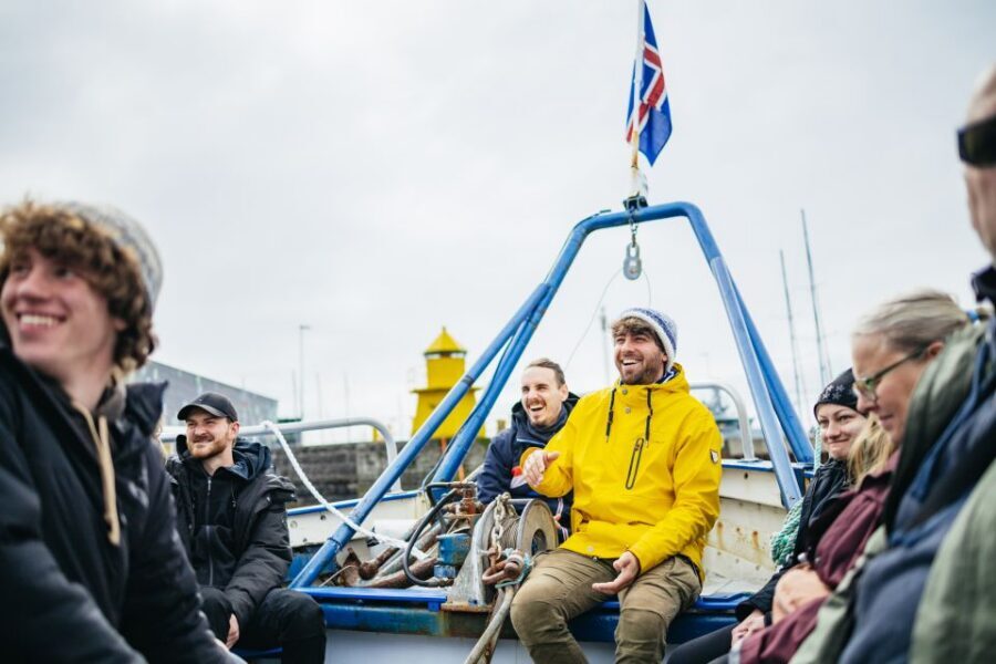 Reykjavik: Puffin Watching Boat Tour - Puffins and the Faxaflói Bay route that actually works