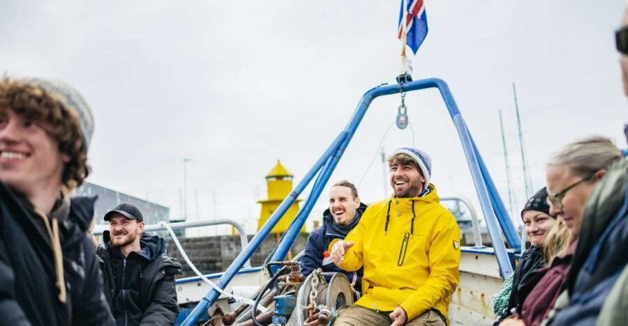 Reykjavik: Puffin Watching Boat Tour - The 1-hour itinerary: where you go and what to look for