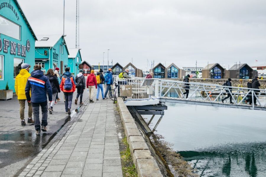 Reykjavik: Puffin Watching Boat Tour - Spotting puffins: the real tricks (and the honest limits)