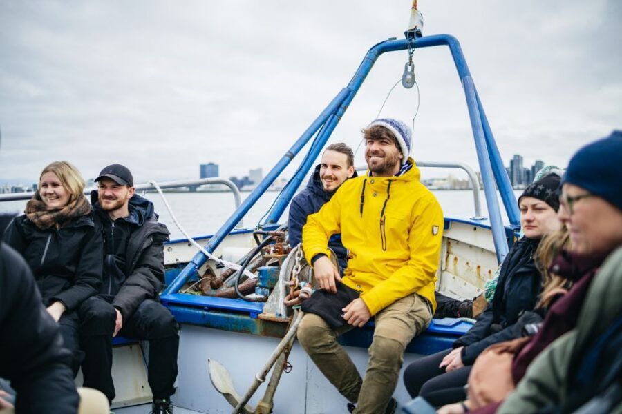 Reykjavik: Puffin Watching Boat Tour - Comfort, sound, and seasickness: the practical reality check