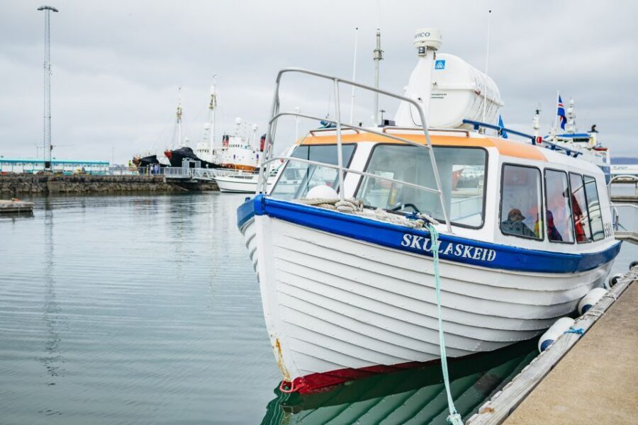 Reykjavik: Puffin Watching Boat Tour - Price and value: is $64 for an hour a good deal?
