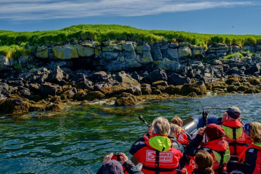 Reykjavik: Puffin Watching Tour - Who this tour fits best, and who should skip it