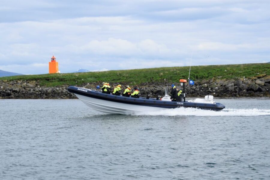 Reykjavik: Puffin Watching Tour by RIB Speedboat - Key Highlights Worth Your Time