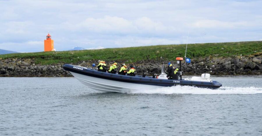 Reykjavik: Puffin Watching Tour by RIB Speedboat - Lundey and Akurey: Why These Islands Deliver on Puffins