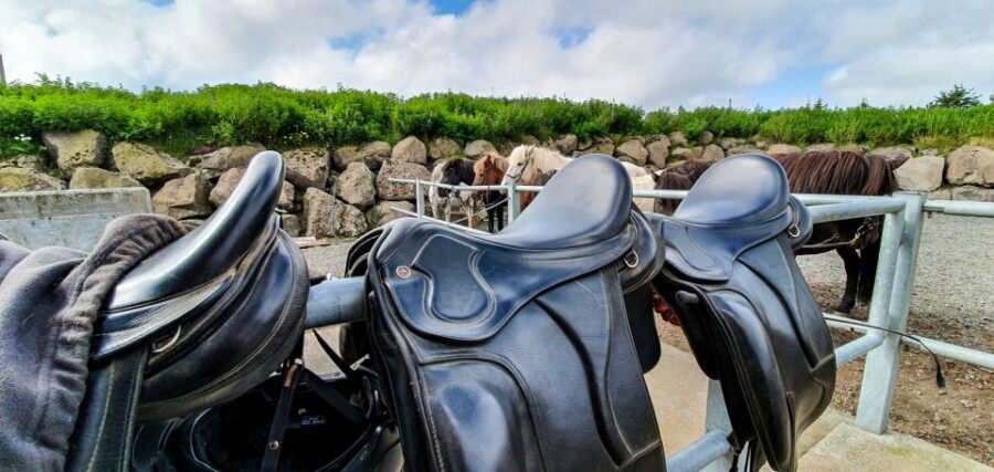Reykjavik: Red Lava Horse Riding Tour - What 1.5–2 Hours in the Saddle Feels Like