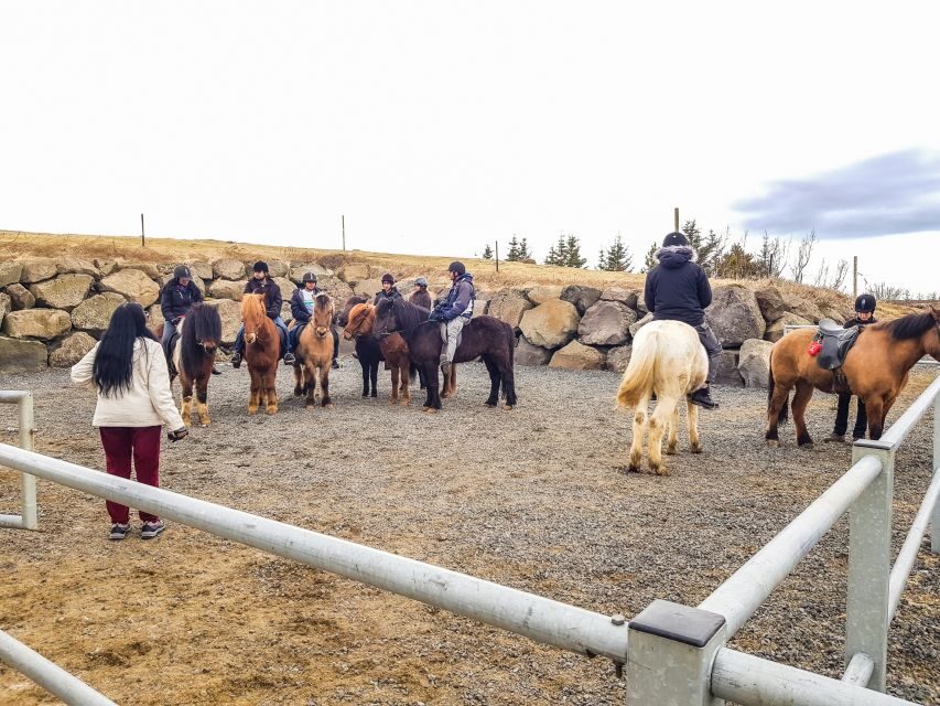 Reykjavik: Red Lava Horse Riding Tour - Price: Does $142 Feel Reasonable for a 2.5-Hour Horse Ride?