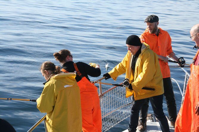 Reykjavik Sea Angling Gourmet - The BBQ lunch: why it tastes so good