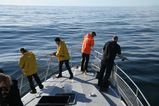 Reykjavik Sea Angling Gourmet - Small group feel on a boat that actually matters