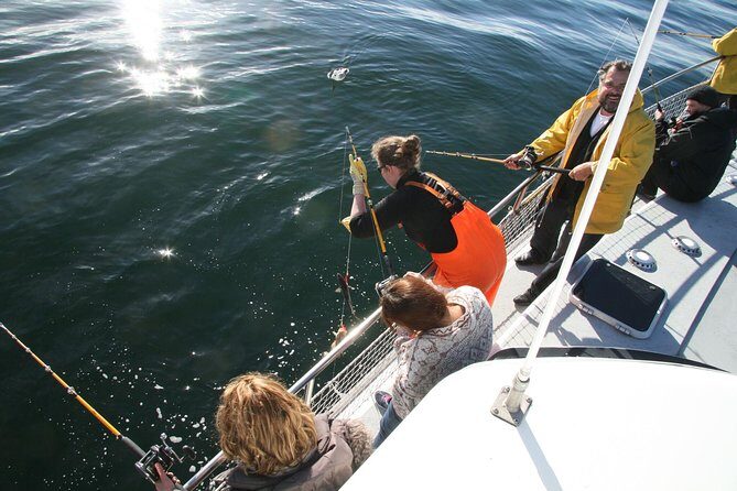 Reykjavik Sea Angling Gourmet - Your 3-hour plan on Faxaflói Bay (what happens when)