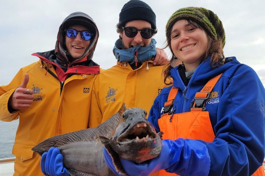Reykjavik: Sea Fishing Boat Tour & BBQ with the Day's Catch - Should you book this Reykjavik fishing boat and BBQ?
