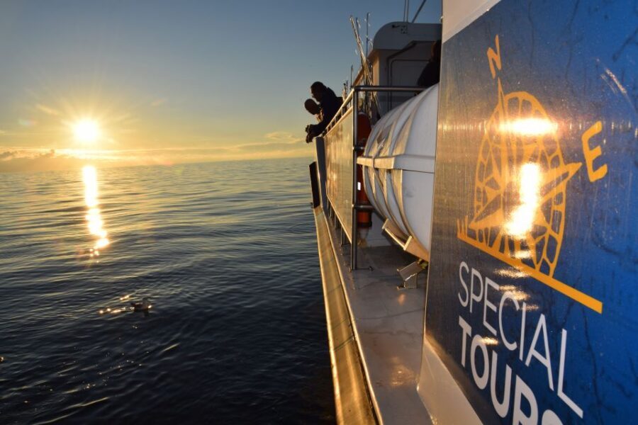 Reykjavik: Sea Fishing Boat Tour & BBQ with the Day's Catch - What you can catch in Iceland waters (and why it matters)