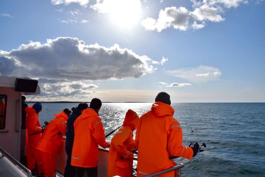 Reykjavik: Sea Fishing Boat Tour & BBQ with the Day's Catch - The onboard BBQ: your catch becomes dinner on the spot