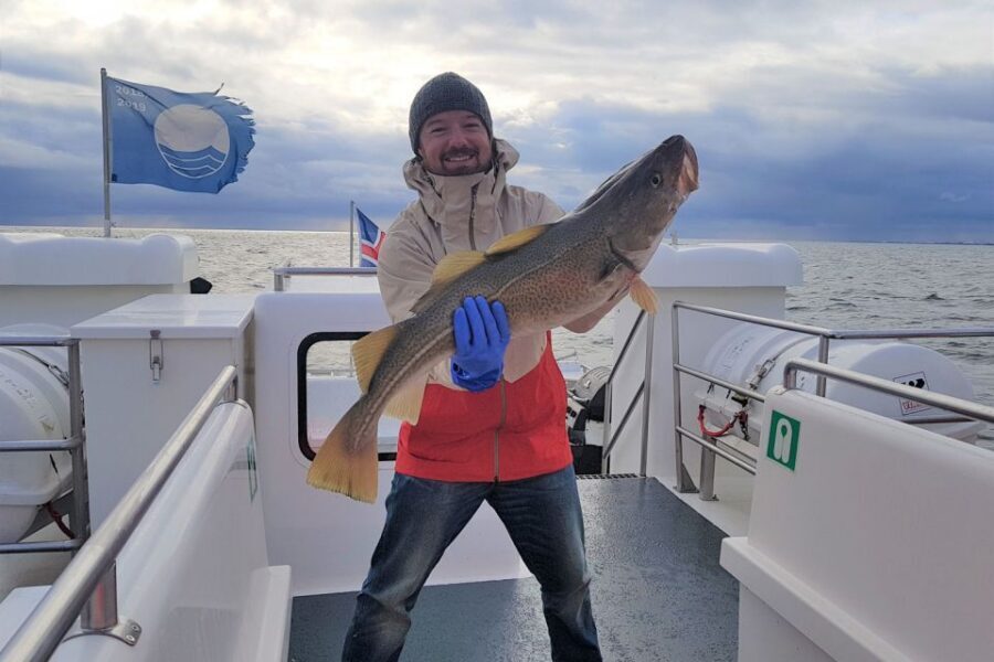 Reykjavik: Sea Fishing Boat Tour & BBQ with the Day's Catch - Weather, sea sickness, and comfort: what to plan for