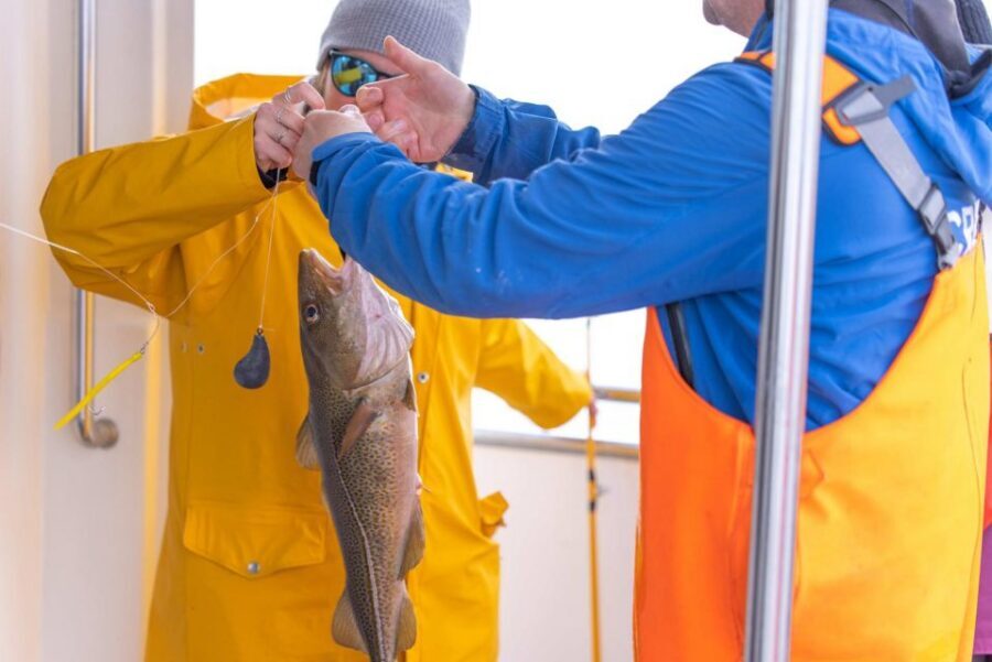 Reykjavik: Sea Fishing Boat Tour & BBQ with the Day's Catch - Learning to fish in 2.5 hours: what the crew really does