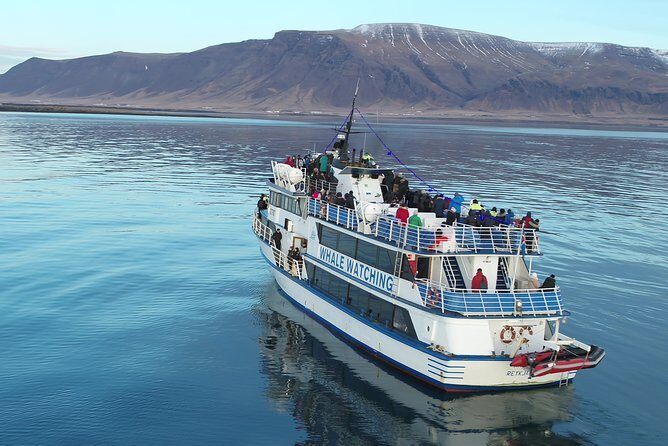 Reykjavik Shore Excursion: Whale-Watching Cruise - Picking the Right Spot on Deck