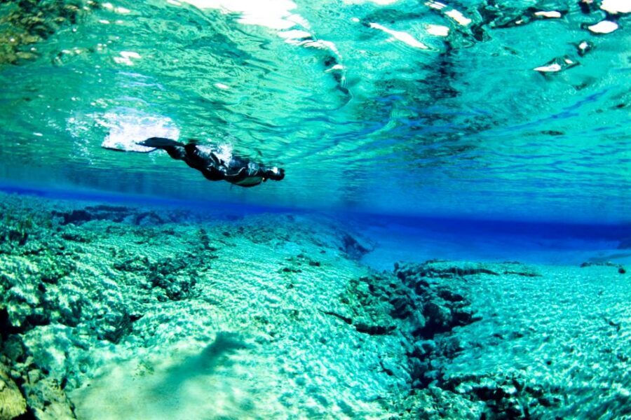 Reykjavík: Silfra Fissure Snorkeling and Lava Caving Tour - Should you book the Reykjavik Silfra + lava caving tour?