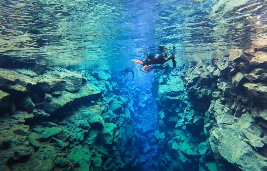 Reykjavík: Silfra Fissure Snorkeling between Two Continents - Price and value: what $140 really buys you