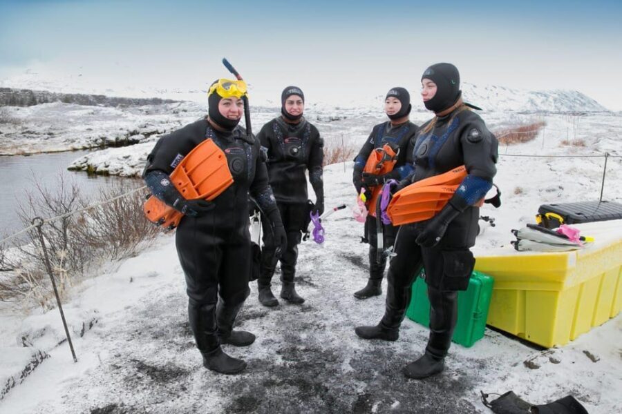Reykjavík: Silfra Fissure Snorkeling between Two Continents - Who this is perfect for, and who should skip it