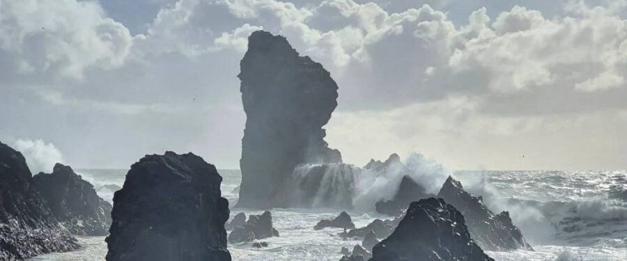 Reykjavik: Small-Group Snæfellsnes Day Trip - Ytri-Tunga farm and beach: seals, sea air, and a calm kind of magic
