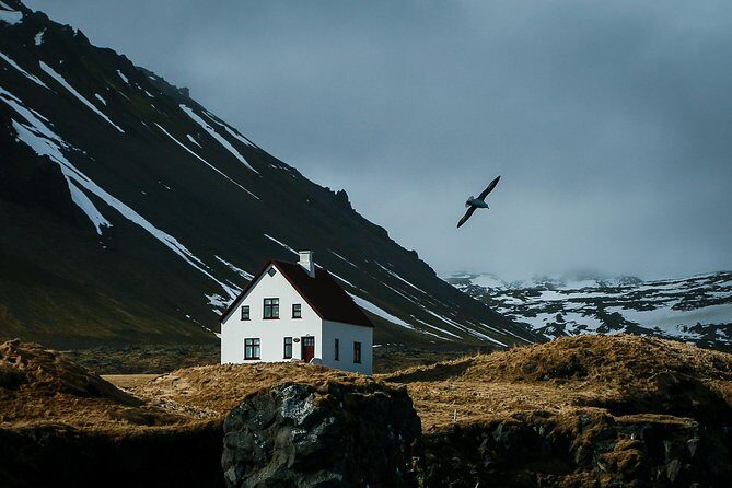 Reykjavik: Snaefellsnes National Park Small Group Trip - A lot of Iceland, without doing the driving math