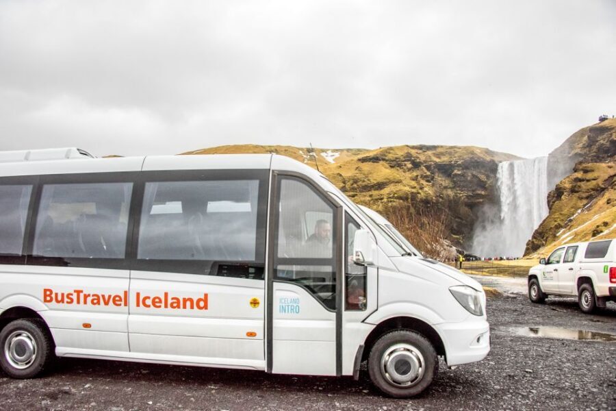 Reykjavik: South Coast Waterfalls & Glacier Small-Group Tour - Dyrhólaey Beaches: Panoramas That Feel Like a Bigger Iceland