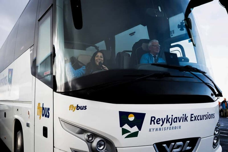Reykjavik: The Golden Circle Day Tour - Price and Value: Is $79 Worth It for the Golden Circle?