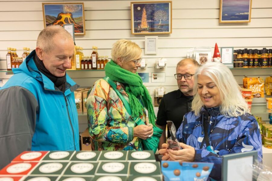 Reykjavik: The Icelandic Sweet Tooth Tour - Baka Baka: where kleina and pastry history start