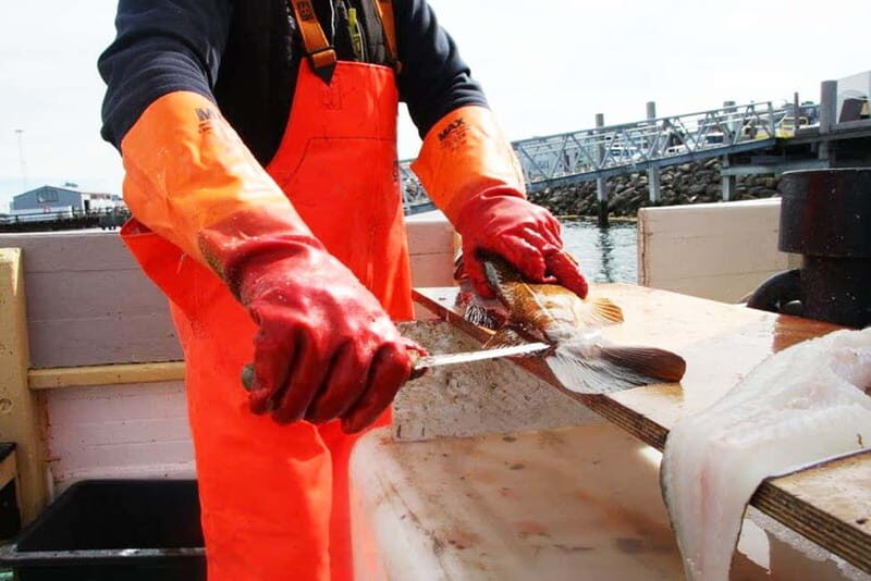 Reykjavik: Traditional Sea Fishing with BBQ Feast - What “traditional” means here: instruction that helps you catch