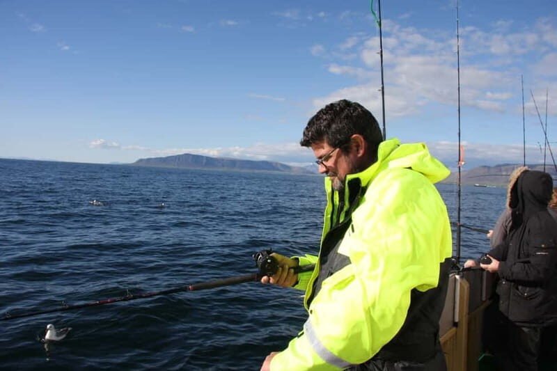 Reykjavik: Traditional Sea Fishing with BBQ Feast - Weather and safety: the reality check that helps you relax