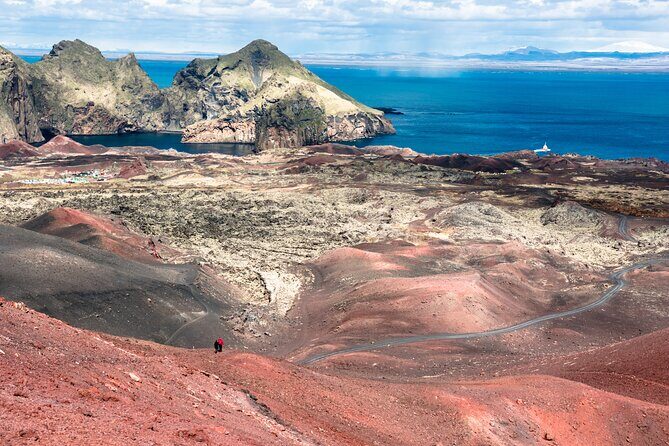Reykjavik - Westman Islands (Bus transfer to Landeyjahöfn) - How this keeps your Westman Islands day flexible