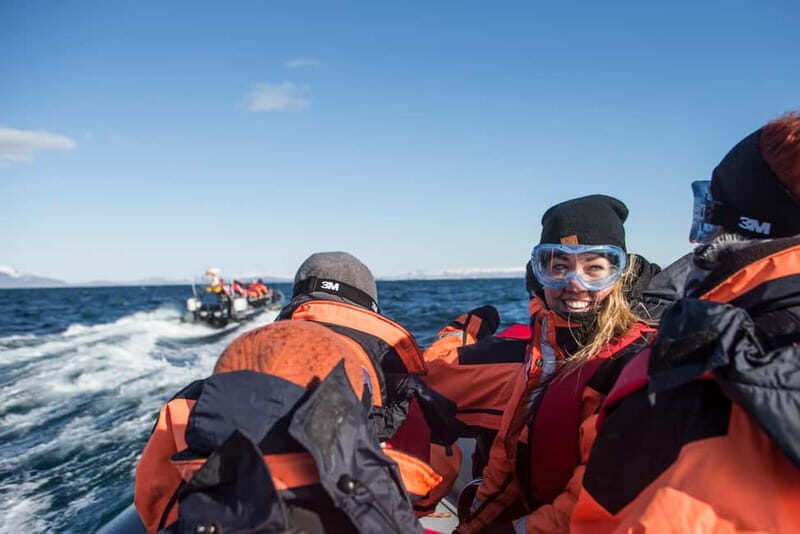 Reykjavik: Whale and Puffin Watching RIB Boat Tour - Key highlights at a glance