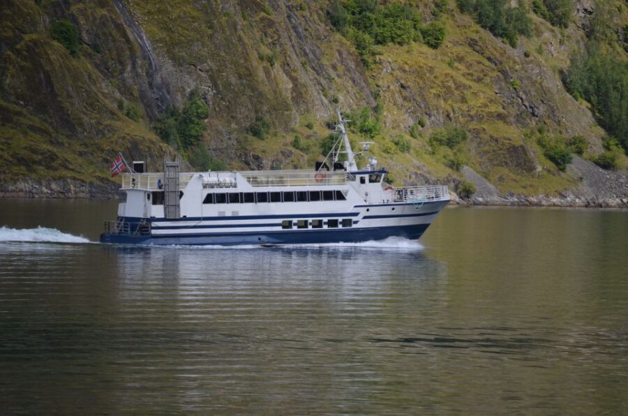 Reykjavik: Whale & Marine Adventure Tour - Faxafloi Bay: Where Sightings Commonly Happen
