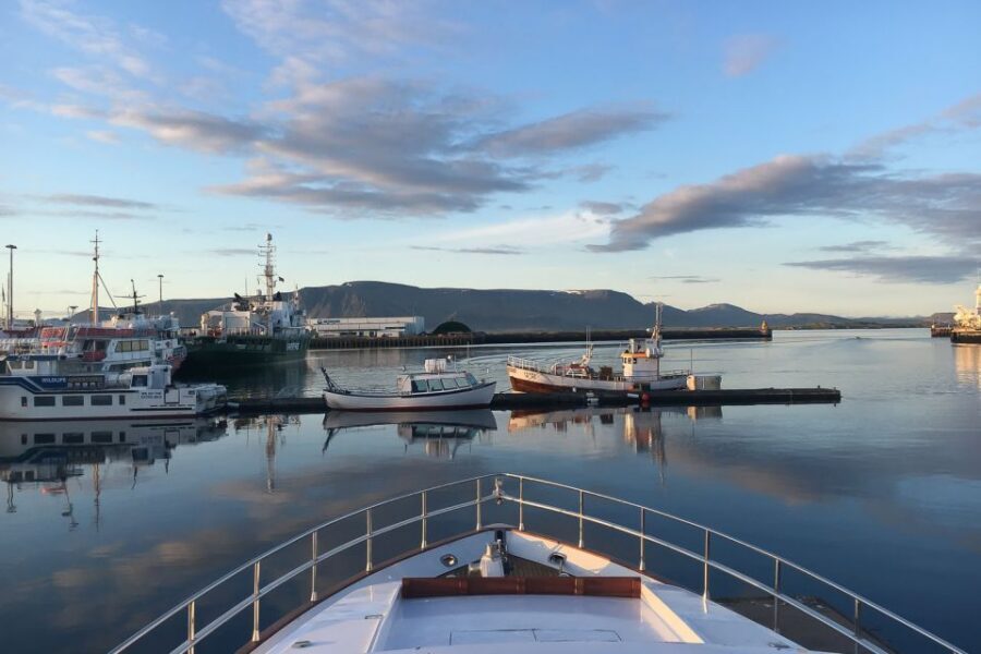 Reykjavik: Whale Watching and Dolphin Watching Yacht Cruise - Key highlights worth your attention