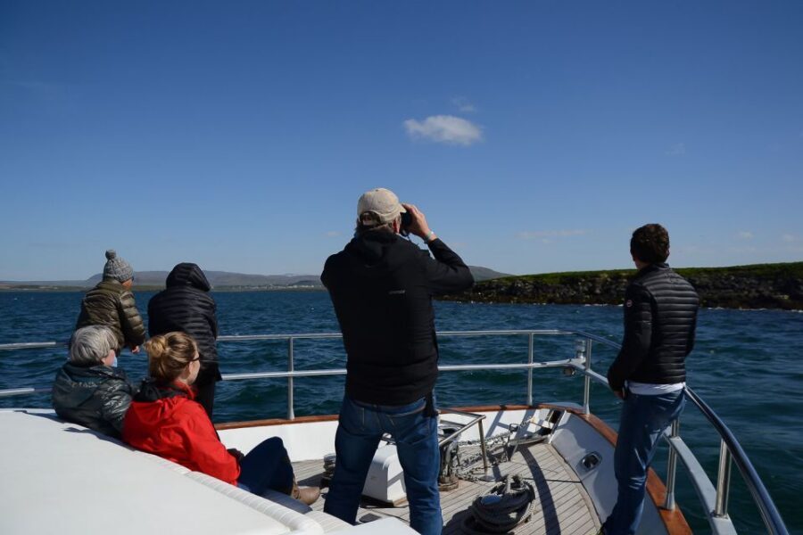 Reykjavik: Whale Watching and Dolphin Watching Yacht Cruise - Should You Book This Reykjavik Whale and Dolphin Cruise?