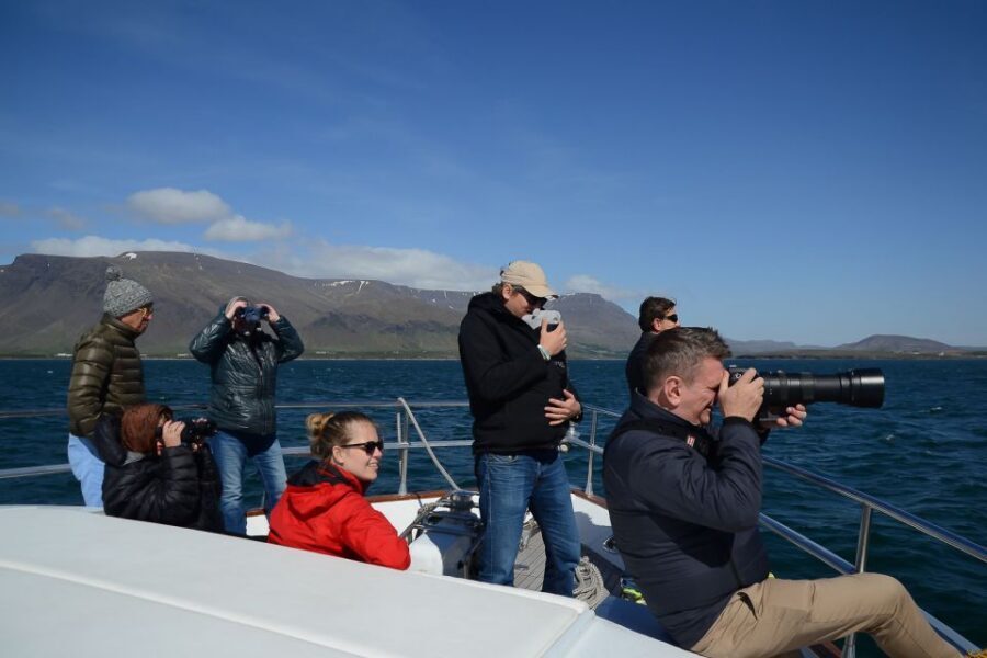 Reykjavik: Whale Watching and Dolphin Watching Yacht Cruise - The Yacht Cruise Itself: A Practical Look at the Flow of the Trip