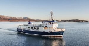 Reykjavík: Whale Watching and Marine Life Cruise - Old Harbour House Check-In: Get There Early and Dress Like It’s a Real Sea Trip